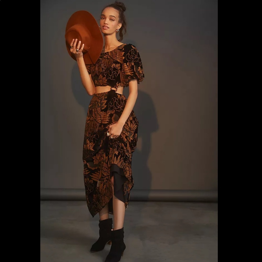 NWT Anthropologie Let Me Be Burnout Velvet Maxi Dress